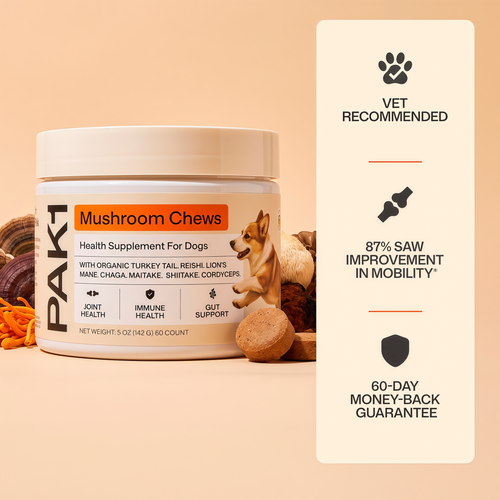 Mushroom Chews