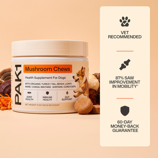 Mushroom Chews